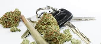 DUI Marijuana